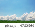 草原と空