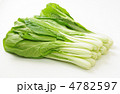 しろ菜