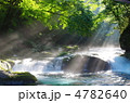 原生林と渓流と光芒　菊池渓谷