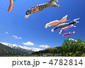 白馬を泳ぐ鯉のぼり