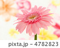 ピンクのガーベラ　花柄バック