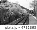 桜と矢祭山駅　弐