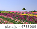 世羅高原農場１６