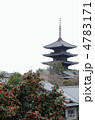 京都の春景色、椿と法観寺 京都の春景色、椿と法観寺