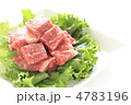 韓国料理の焼肉