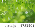 環境イメージ
