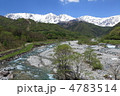 白馬村の清流 白馬村の清流