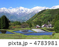 青鬼の棚田 青鬼の棚田