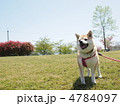 荒神山公園へ