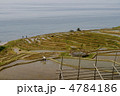 白米千枚田