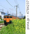 115系普通列車と菜の花