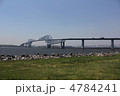 東京ゲートブリッジ