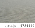 砂浜