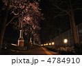 夜桜と街路灯
