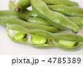 ソラマメ