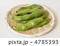 ソラマメ