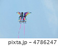 バイオカイト