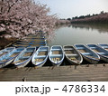 桜祭り　ボート乗り場