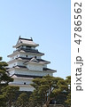鶴ヶ城と松 鶴ヶ城と松