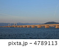 新しい橋