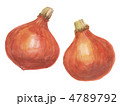 打木赤皮甘栗かぼちゃ