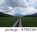 希望に続く道　1