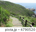 海の見える遊歩道