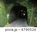 コケ生した古いトンネル