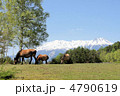 木曽馬と御嶽山