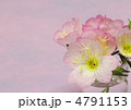 昼咲き月見草のアレンジ