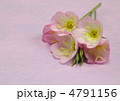 昼咲き月見草の花束