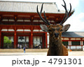 奈良へようこそ。