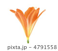 クンシラン
