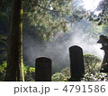 道了尊の石碑