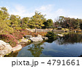 冬の白鳥庭園　中の池と浮見四阿