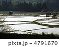 田植え前 田植え前