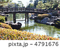 冬の白鳥庭園　中の池