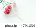 母の日のカーネーション 母の日のカーネーション