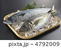 鯵と鯖２