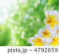 ライト アウトドア 柔らかい