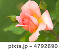 4792690