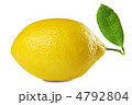 4792804