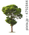 4792844
