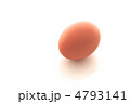 タマゴ タマゴ