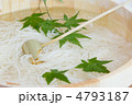 夏の食材イメージ～そうめん～