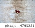 4793281
