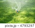 4793297