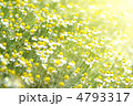 4793317