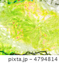 4794814
