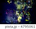 4795061